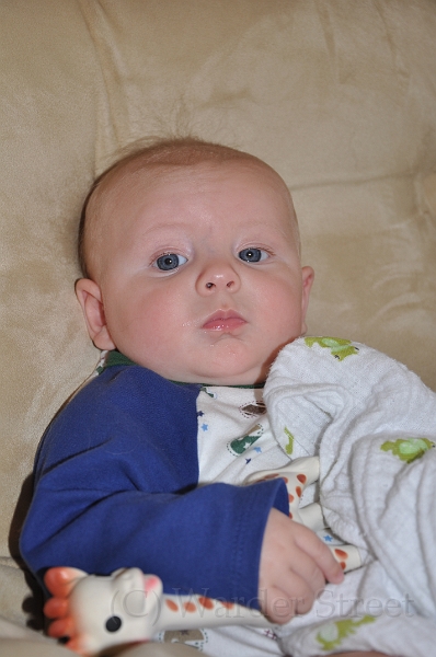 William's Fourteenth Week 14.jpg